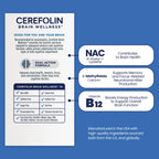 Cerefolin Brain Wellness, Targeted Nutrition for Cognitive Support, Improves Memory, Focus & Concentration, L-Methylfolate, NAC, B12, Neurologist Recommended (30 Count)