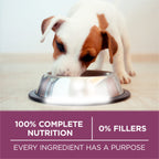 Purina ONE Plus Healthy Puppy Dry Food, Chicken, 8 lb Bag