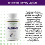 Paradise Herbs L-Carnosine, Super Potent, Ultra Pure, Antioxidant, Vegan, Non GMO, Gluten Free, 60 Vegetarian Capsules