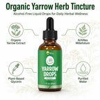 Yarrow Herb Tincture, Organic Yarrow Extract Liquid Drops, Alcohol-Free Achillea Millefolium Herbal Supplement for Women, GMP Certified, Vegan, Non-GMO, Gluten-Free, 1 Fl Oz