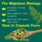 Kuli Kuli Organic Moringa Capsules 120 Count - Premium Moringa Leaf Powder Capsules - Nutrient-Dense Superfood for Energy, Vitality, and Wellness