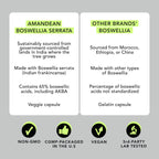 AMANDEAN Boswellia Serrata Extract. 500mg 120 Veggie Capsules. 65% Boswellic Acids with AKBA. Indian Frankincense Inflammation Supplement. Joint Health Support. (Packaging May Vary)