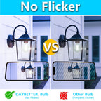 DAYBETTER 24 Pack A19 Vintage LED Edison Bulbs, 60W Equivalent Dimmable LED Bulbs, High Brightness 5000K Daylight, 800 Lumens, 8W E26 Standard Base, Ultra-Bright, CRI80+, Clear Glass Filament Bulb