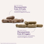 Natrol JuiceFestiv, Vitamins and Supplements for Nutrition & Well-Being, Antioxidants for Cellular Health, 60 Capsules (2-Count), Up to a 30 Day Supply