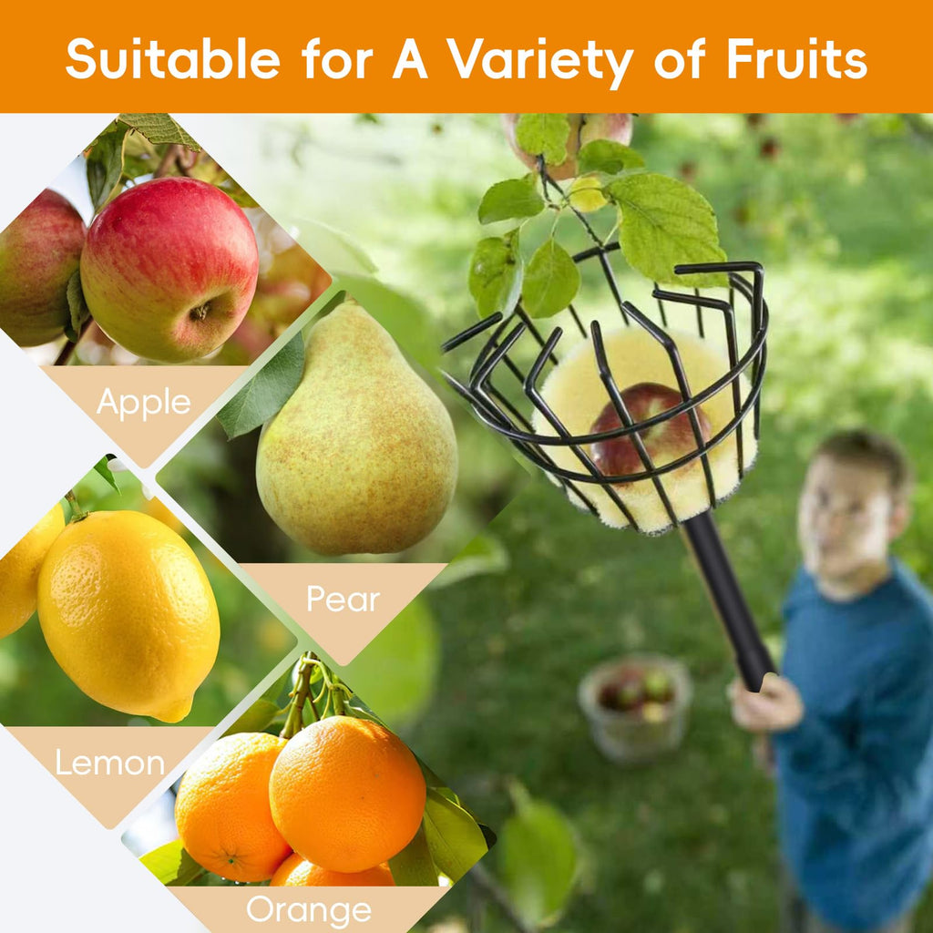 Pragmatist Fruit Picker Pole Tool with Basket, 9.6 FT (116 Inch) Adjustable Fruit Grabber Reacher Tool Long Handle Fruit Catcher for Apple Lemon Pear Citrus Mango Tree Gardening Supplies, Black