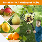 Pragmatist Fruit Picker Pole Tool with Basket, 9.6 FT (116 Inch) Adjustable Fruit Grabber Reacher Tool Long Handle Fruit Catcher for Apple Lemon Pear Citrus Mango Tree Gardening Supplies, Black