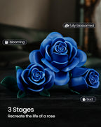 iATOM Blue Rose Bouquet Building Set, Compatible with Lego Flowers for Adults - Gift for Halloween, Gothic Retro Artificial Flowers Botanical Collection Home Decor - IA11007