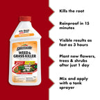 Spectracide Weed & Grass Killer Concentrate for Driveways & Walkways, 40 Oz