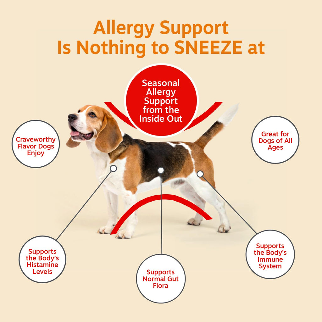 Zesty Paws Dog Allergy Chews - Dog Allergy Relief, Peanut Butter, 90 Ct