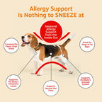 Zesty Paws Dog Allergy Chews - Dog Allergy Relief, Peanut Butter, 90 Ct