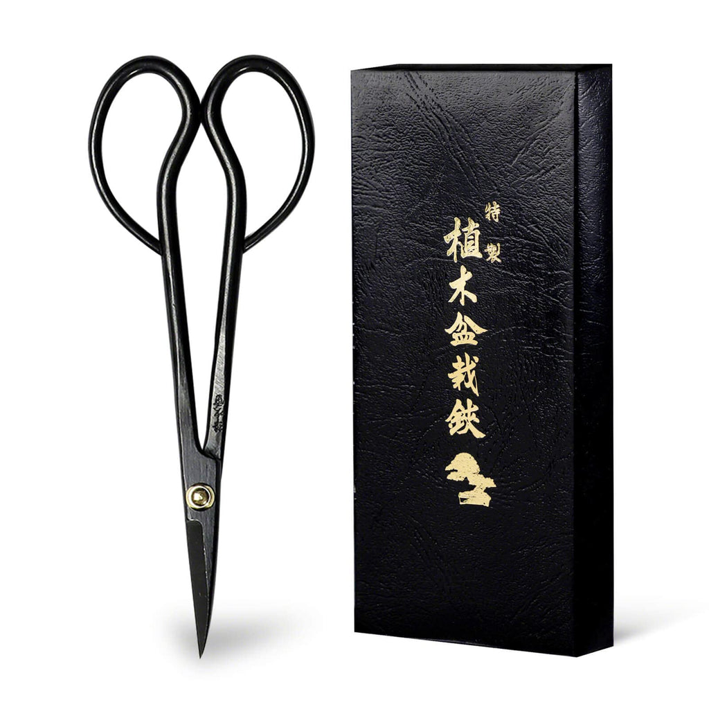 Wazakura Satsuki Bonsai Scissors, Made in Japan 7 inch (180 mm), Japanese Bonsai Garden Tools, Hasami Pruning Shears - Satsuki Style, Black