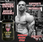 Healthy 'N Fit Raging Bull Mega Orchic - 120 Capsules (40 Day Supply) Premium Raw Orchic Glandular, Increase T Naturally