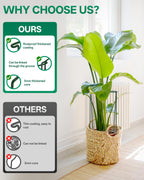 8 Pack 24 In Plant Support Stakes, Peony Cages And Supports with 15 Lables