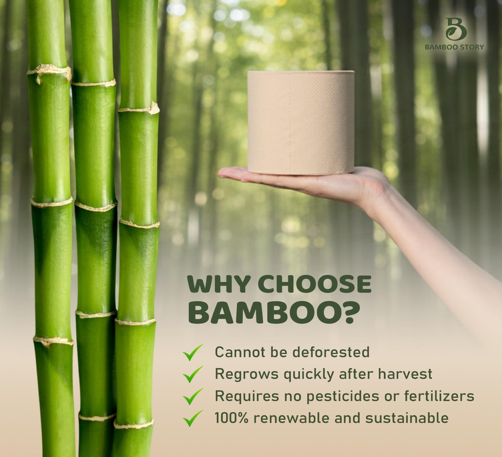 Bamboo Story, Bamboo Toilet Paper Unbleached, 24 Rolls, 3 Ply and 300 Sheets Bamboo Toilet Tissue - FSC Certified, Biodegradable, Chemical Free, Plastic Free, BPA Free, Septic Safe Toilet Paper