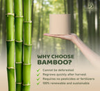 Bamboo Story, Bamboo Toilet Paper Unbleached, 24 Rolls, 3 Ply and 300 Sheets Bamboo Toilet Tissue - FSC Certified, Biodegradable, Chemical Free, Plastic Free, BPA Free, Septic Safe Toilet Paper