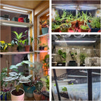 Wiaxulay 16in Plant Grow Light Strip for Indoor Growing, Full Spectrum 15W