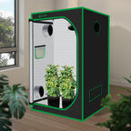 Green Hut 3x3 Grow Tent, 36"x36"x72" Hydroponics Growing Tent