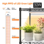 Bstrip 6-Tier Indoor Greenhouse with Grow Light, 29.5x13.8x71in