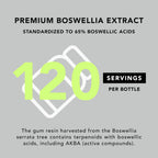 AMANDEAN Boswellia Serrata Extract. 500mg 120 Veggie Capsules. 65% Boswellic Acids with AKBA. Indian Frankincense Inflammation Supplement. Joint Health Support. (Packaging May Vary)