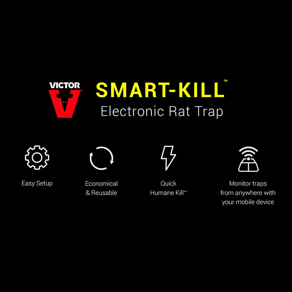 Victor M2-2P M2 Smart-Kill Wi-Fi Electronic Rat Trap-2 Pack, Black