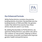 BodyHealth PerfectAmino Powder - BCAA and EAA Powder for Pre and Post Workout - Amino Acid Energy Drink for Men and Women to Support Lean Muscle and Recovery - Strawberry - 120 Servings