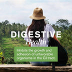 Nature's Sunshine Gastro Health Concentrate, 60 Capsules | Powerful Natural Blend Delivers 800mg of Unique Herbs Shown to Provide Occasional Indigestion and Heartburn Relief