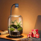 Yeeweek Glass Plant Terrarium with LED Grow Light for Home Office