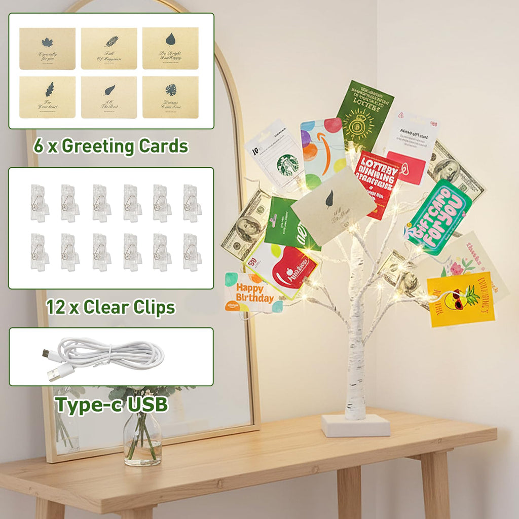 EAMBRITE Money Tree Gift Holder, Lighted Birch Tree 2FT 24LED, Battery/USB Powered Timer Light Up Display Twig Gift Card Tree with 12 Clear Clips and 6 Cards for Home Christmas Graduation Photo Memo