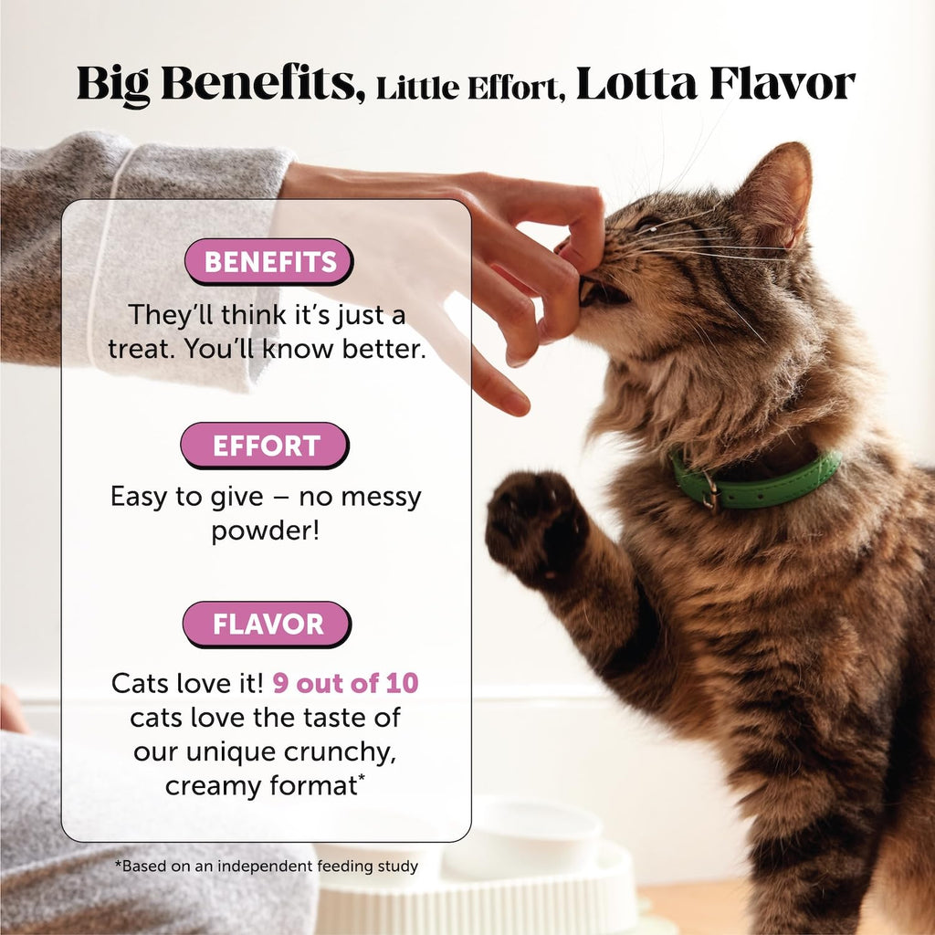 Pet Honesty Cat Multivitamin, Cat Treats Alternative, Chicken 30-Day Supply
