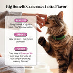 Pet Honesty Cat Multivitamin, Cat Treats Alternative, Chicken 30-Day Supply