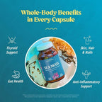 Sea Moss Capsules, Organic Irish Moss with Bladderwrack Root, Burdock Root, and BioPerine, Skin, Thyroid, Digestion & Immunity Support for Women & Men, Gluten Free, Vegan, 60 Count