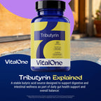 VitalOne Tributyrin 250 mg Supplement | Single Ingredient Butyrate Prodrug | Gut & Digestive Support | Clean Label | 1 Capsule Daily | 90 Capsules