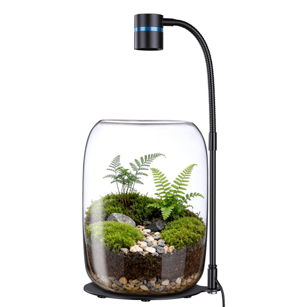 Yeeweek Glass Plant Terrarium with LED Grow Light for Home Office