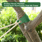Jevrench 36-Pack Heavy Duty Tree Straps for Staking and Support