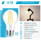 Ascher 60 Watt Equivalent, E26 LED Filament Light Bulbs, Daylight White 4000K, Non-Dimmable, Classic Clear Glass, A19 LED Light Bulb with 80 CRI, Pack of 6