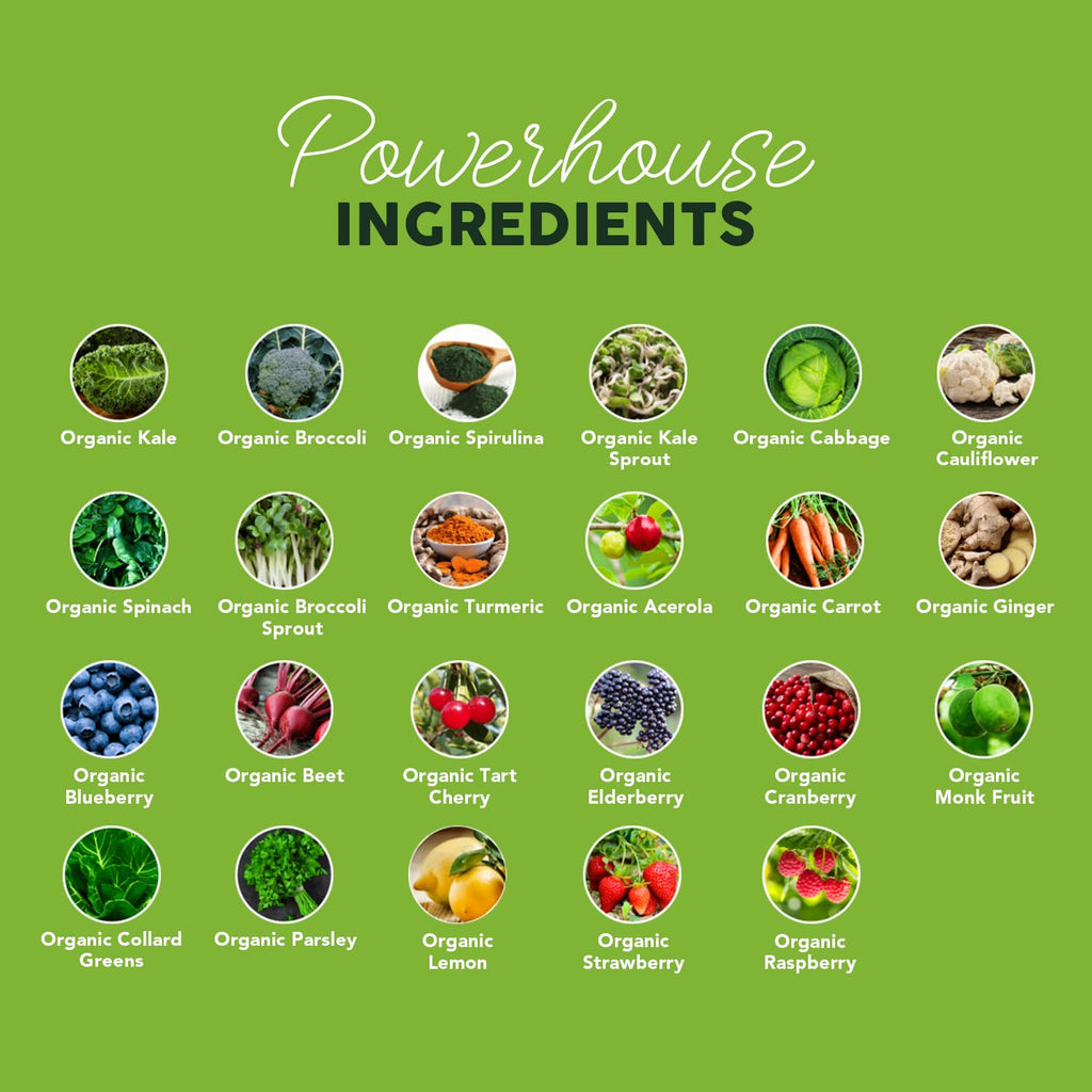 Paleovalley Organic Supergreens Powder - 23 Superfoods with Prebiotic Fiber for Energy and Immunity Support - No Cereal Grasses for Maximum Absorption - Pure Unflavored, 30 Servings