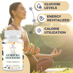 Sundhedsliv 16 in 1 Blxxd Sugr Effective Gymnema Sylvestre Supplement 2100MG | with Berberine, Cinnamon, Bitter Melon | Vitamins, Magnesium & Chromium | 90 Vegan Capsules