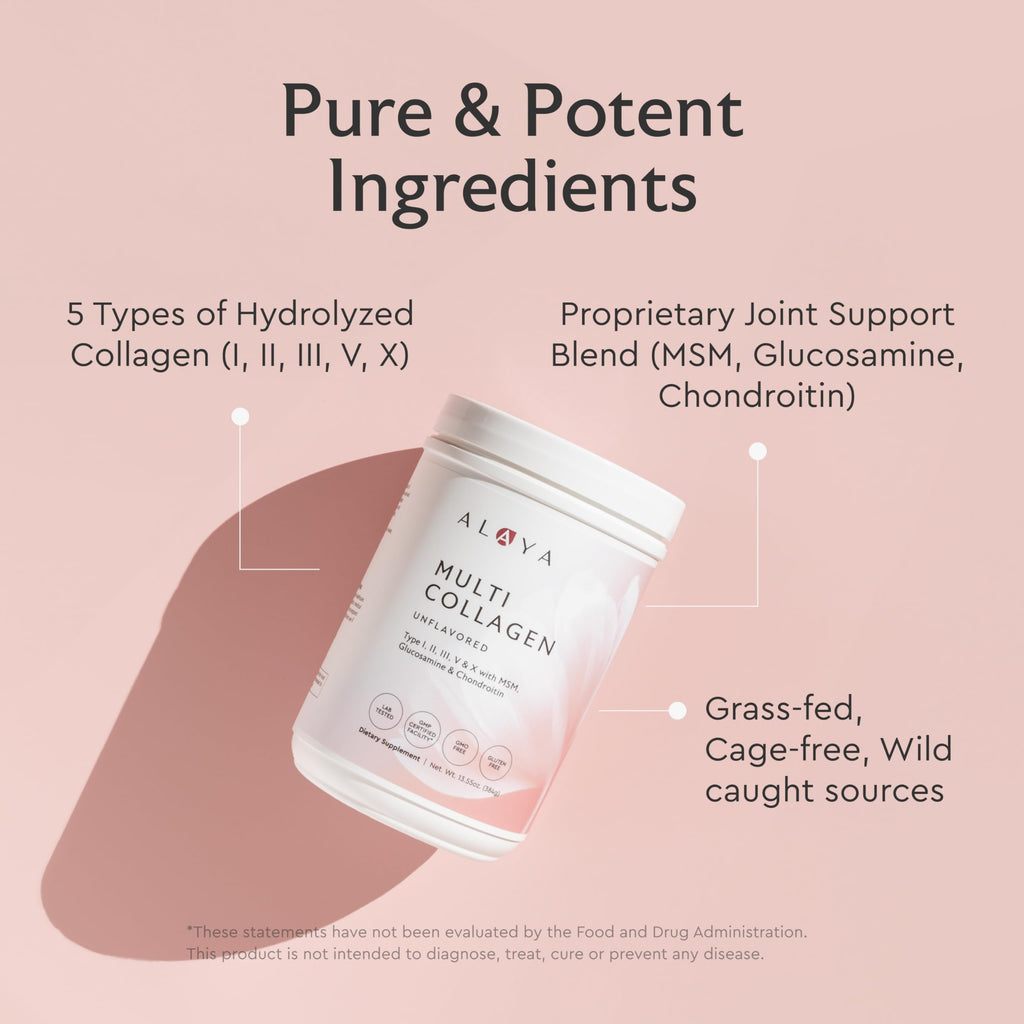 Alaya Multi Collagen Powder - Type I, II, III, V, X Hydrolyzed Collagen Peptides Protein Powder Supplement with MSM + GC (Chocolate)