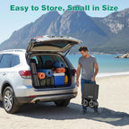 SUNNYFEEL Beach Wagon with Big Wheels for Sand - 300L Large Capacity