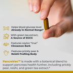 Premier Research Labs PancreVen - Pancreas Support, Pancreas Supplement, Cinnamon Supplements with Organic Ceylon Cinnamon & Prickly Pear to Aid Pancreas Health - 120 Vegetarian Capsules