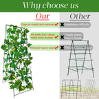 Heavy Duty Cucumber Trellis Thickened for Raised Garden Bed,48"x16" Foldable Frame Metal Vegetable Trellis for Climbing Plants Outdoor Plant Support for Grape Tomato Peas, Fruit, Vine,Bean(1 Pack)