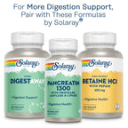 SOLARAY Mastic Gum Extract 500 mg 45 Count