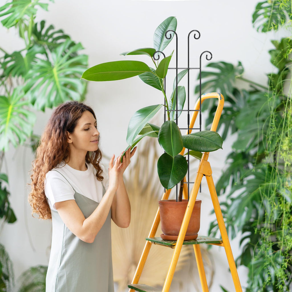 Coomin 32.6in Monstera Plant Support, Plant Trellis Indoor 2P
