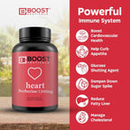 BoostCeuticals Berberine Supplement 1200mg (2 x 600mg) - Berberine HCl Vegan Capsules - Daily Wellness Support - Gluten Free Non GMO - 60 Capsules