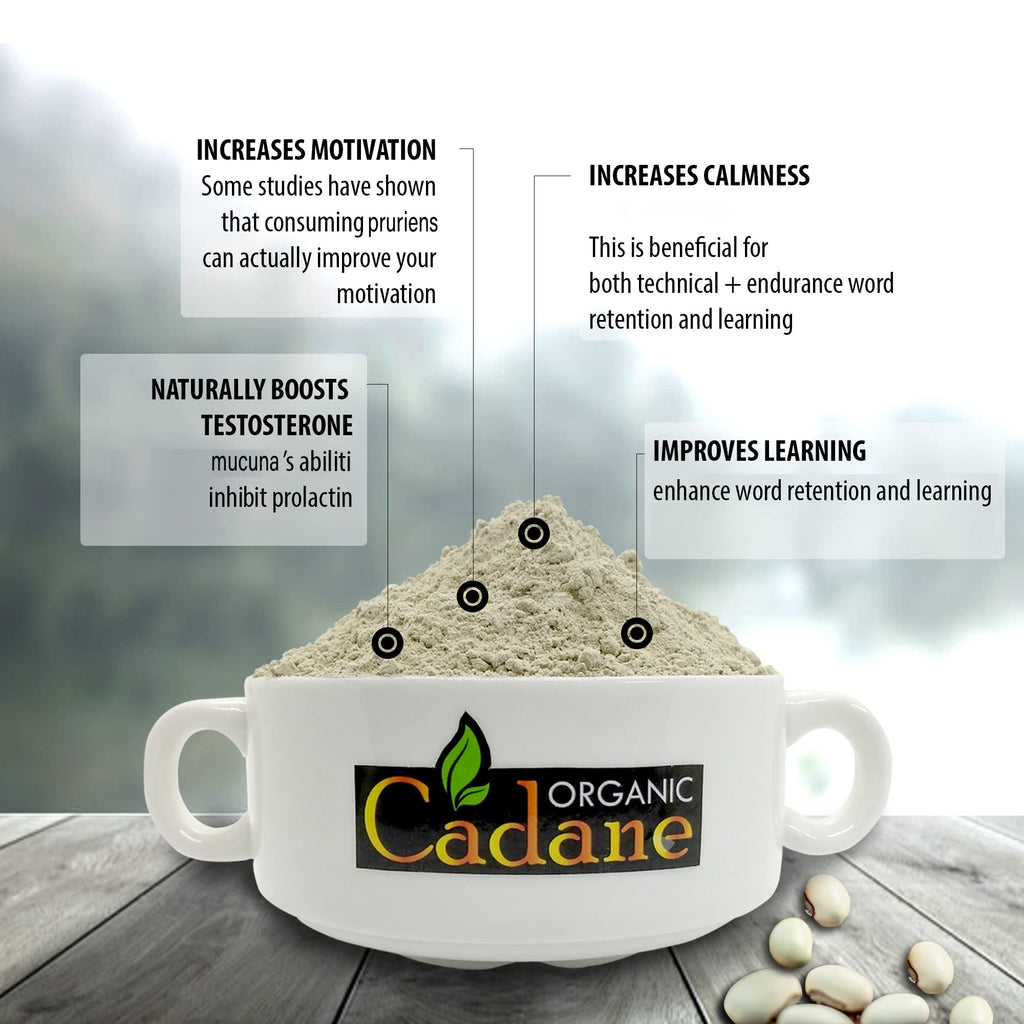 Organic Cadane Mucuna Pruriens Powder 1 Pound | Promotes Brain Health, Supports Immune System, Energy | USDA Certified Vegan-Friendly Supplements | Pure Natural Velvet Beans Extract from India