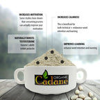 Organic Cadane Mucuna Pruriens Powder 1 Pound | Promotes Brain Health, Supports Immune System, Energy | USDA Certified Vegan-Friendly Supplements | Pure Natural Velvet Beans Extract from India