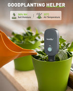 RAINPOINT Bluetooth 2-in-1 Soil Moisture & Air Temp Meter, App Remote Monitoring, 20 Plant Database, Compatible with WiFi Hub TWG009 & Water Timer ITV102b