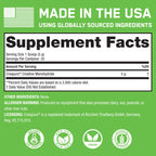 SteelFit Creapure Creatine Monohydrate Powder - German Micronized Creatine Powder for Men & Women - Gym Workout Nutritional Supplements for Muscle Gain, Brain Health & Strength Building, 30 Servings