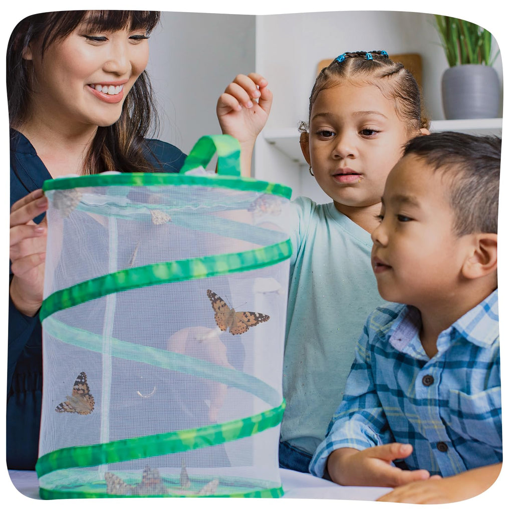 Insect Lore Butterfly Garden Kit - 5 Live Baby Caterpillars, Habitat, Feeder, Chrys-A-Lid Log, STEM Journal Included - Grow, Raise and Release Painted Lady Butterflies