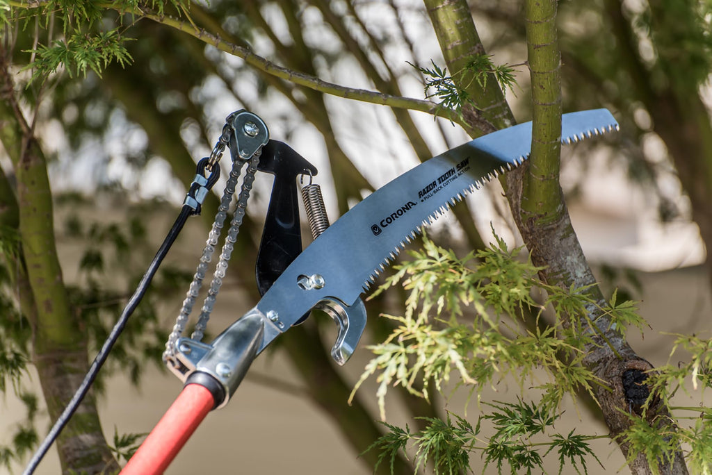 Corona TP 6870 MAX RazorTOOTH DualCOMPOUND Action 14-ft. Tree Pruner